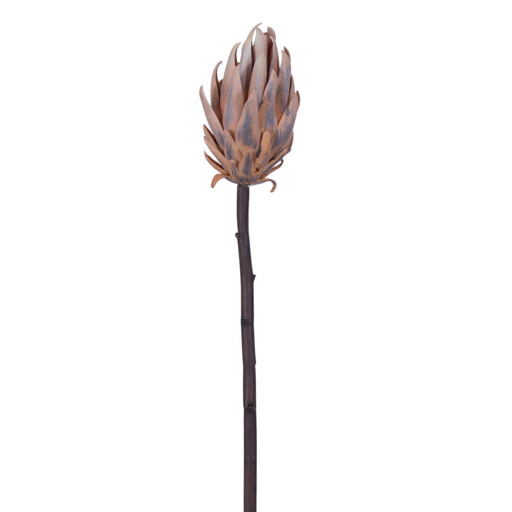 FXT235318 22 in. Orange & Purple Protea Stem - Bag of 2