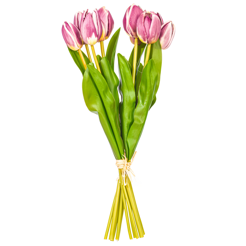 FXT238770 16 in. Mauve & Cream Tulip Bundle - Bag of 2