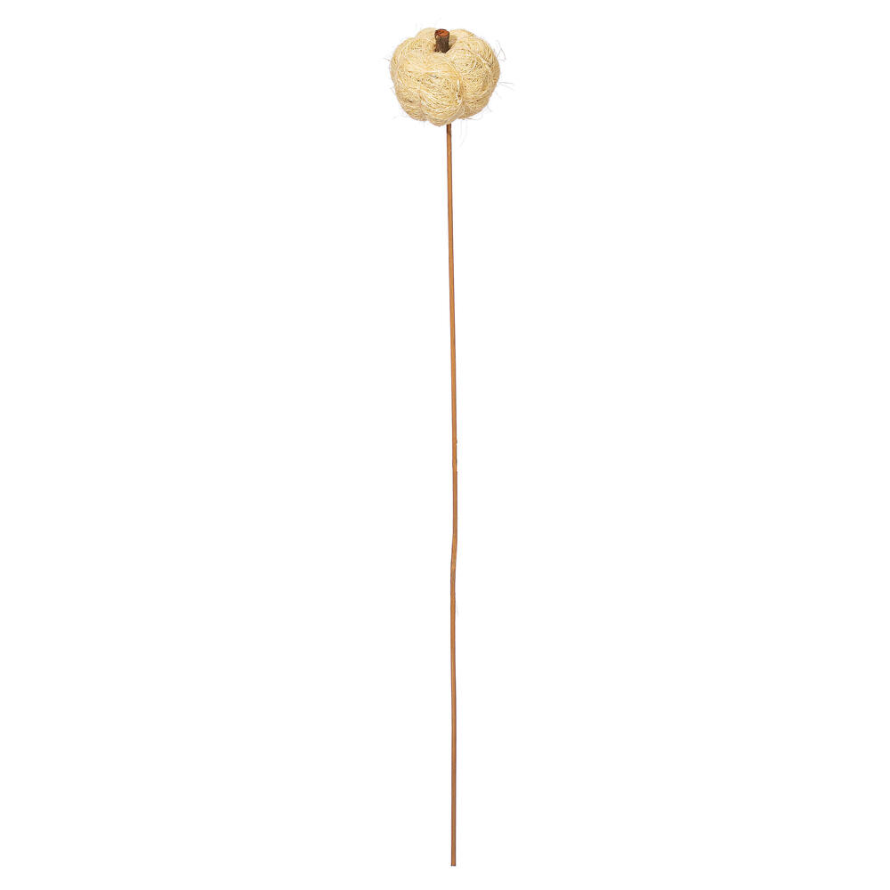 H7CPS999 Natural Botanicals Dried 2.5 in. Hand Crafted Bleached Coconut Coir Pumpkin on a 20 in. Stem - 12 Per Bag
