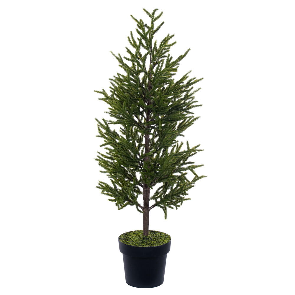 RS240340 40.5 in. Potted Green Norfolk Pine Tree
