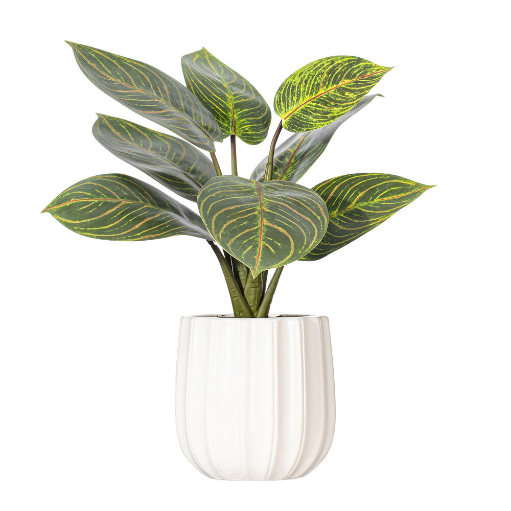 TA222713 13 in. Philodendron Birkin in White Ceramic Pot - Green
