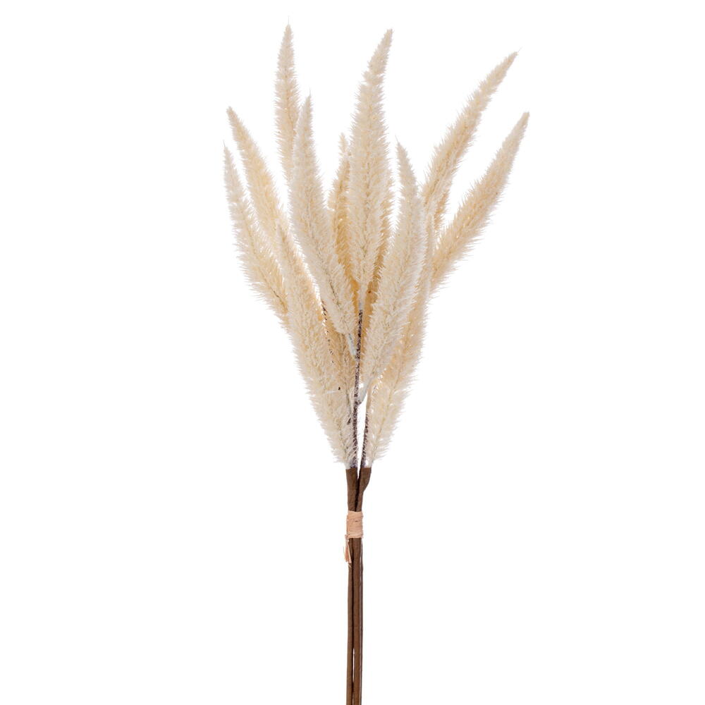 EF231525 24 in. Cream Foxtail Bundle