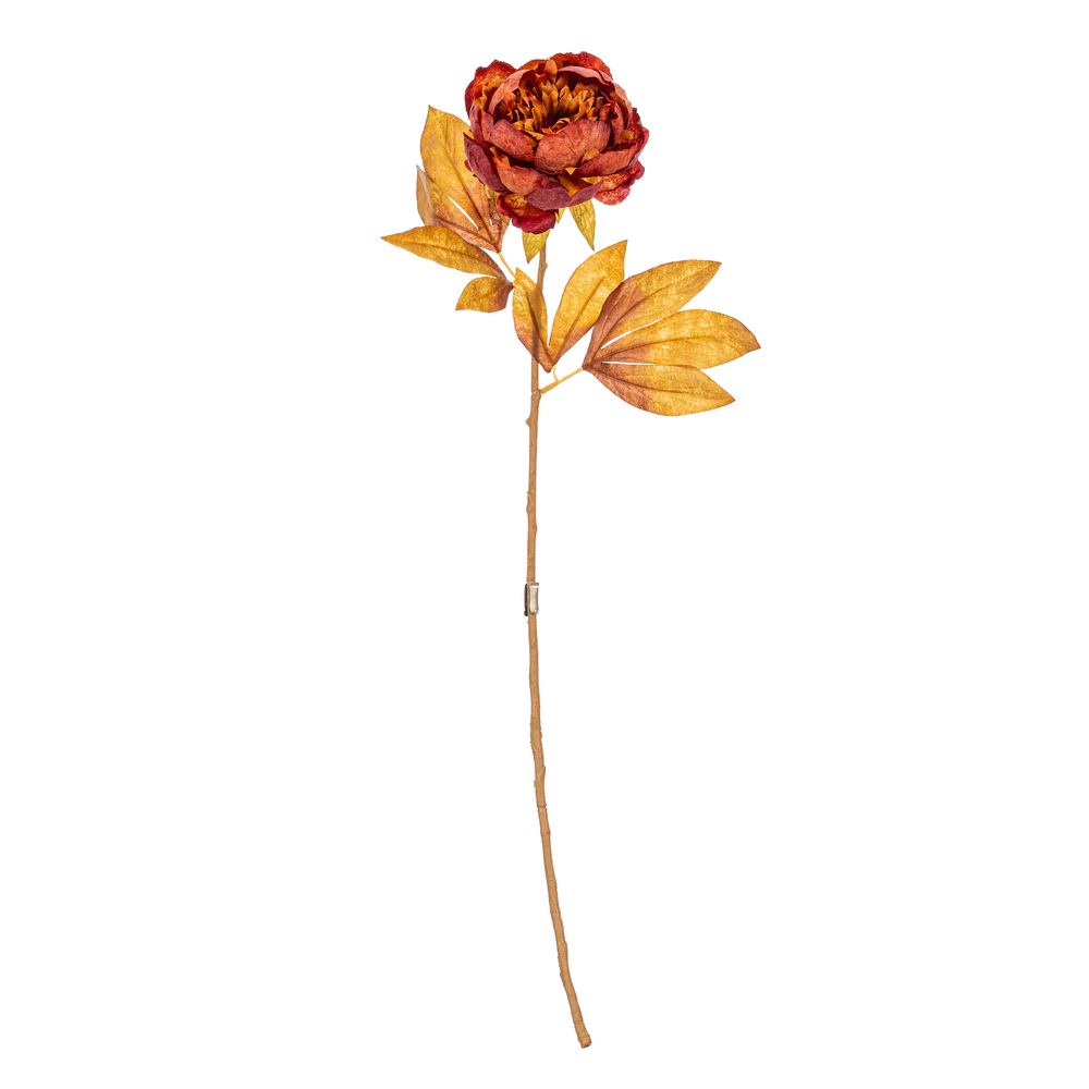 FR235876 21 in. Artificial Dark Brown Peony Stem - Bag of 6