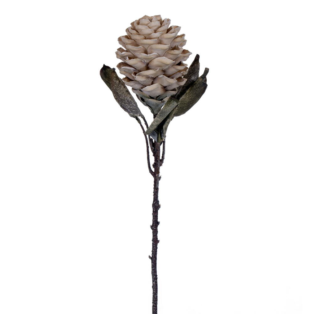FMA230210 22 in. Cream Dried Artificial Torch Ginger Stem - Bag of 3