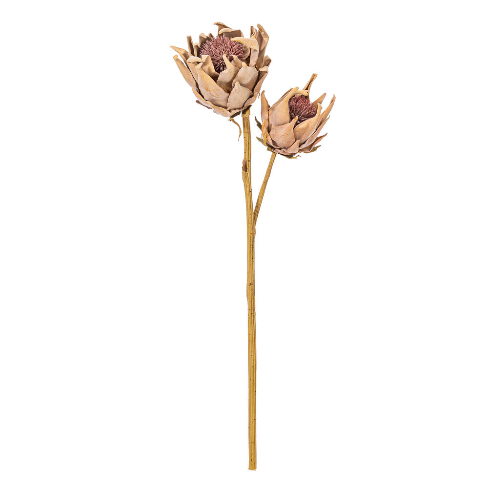 FXT234536 26 in. Light Orange Protea Stem - Bag of 2