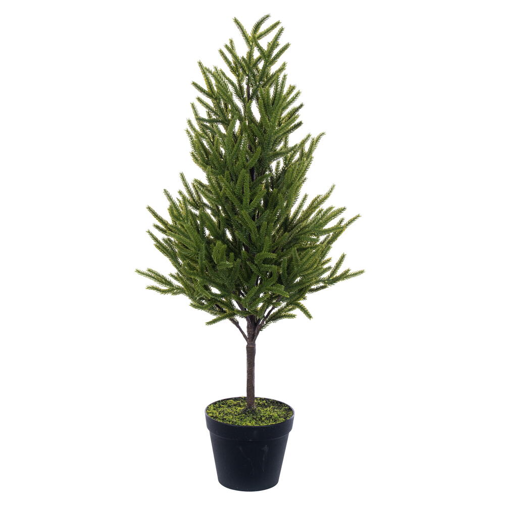RS240332 32 in. Potted Green Norfolk Pine Tree
