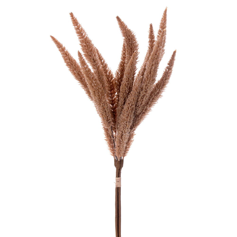 EF231529 24 in. Beige Foxtail Bundle