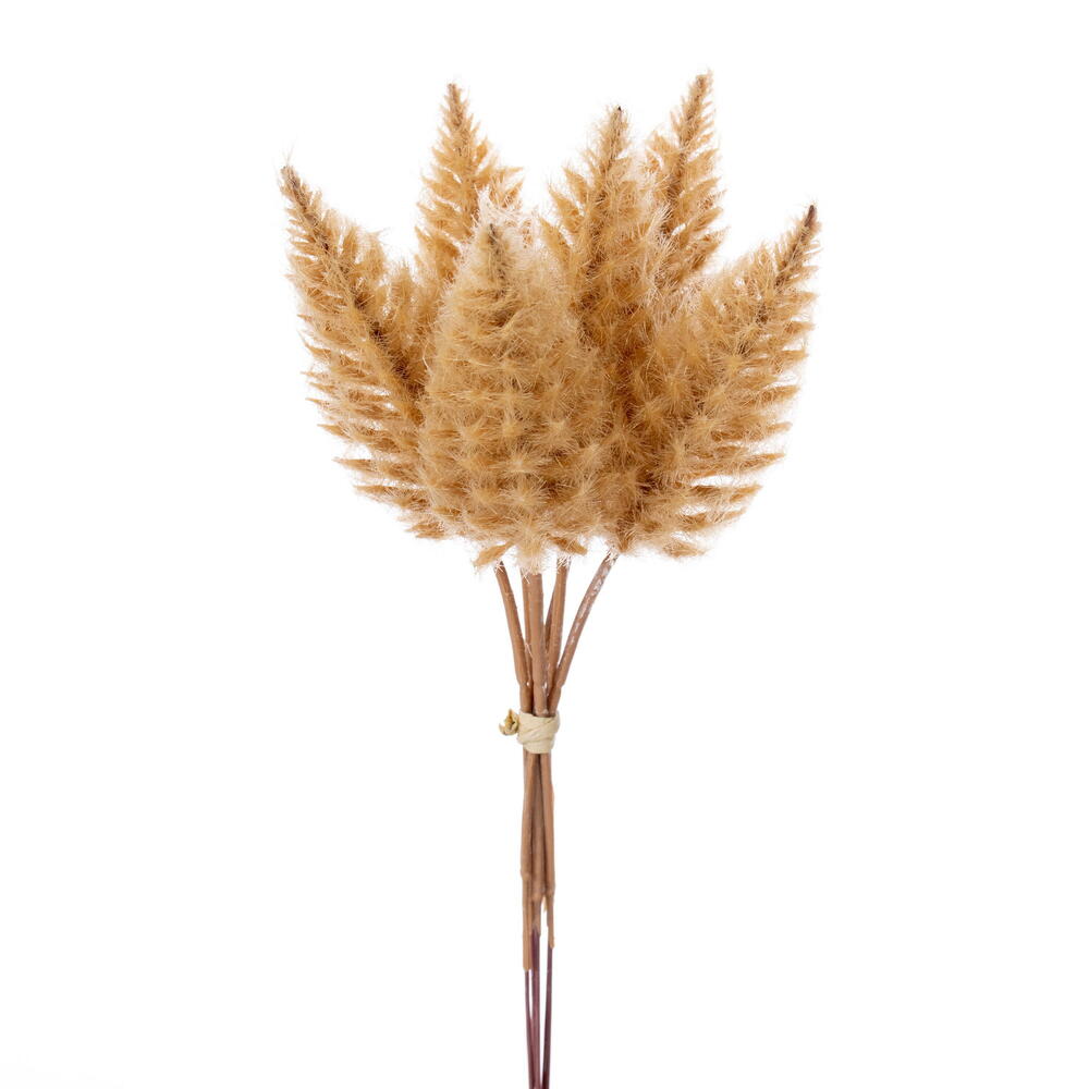 FNT236047 9 in. Mud Yellow Celosia Stem - Bag of 6
