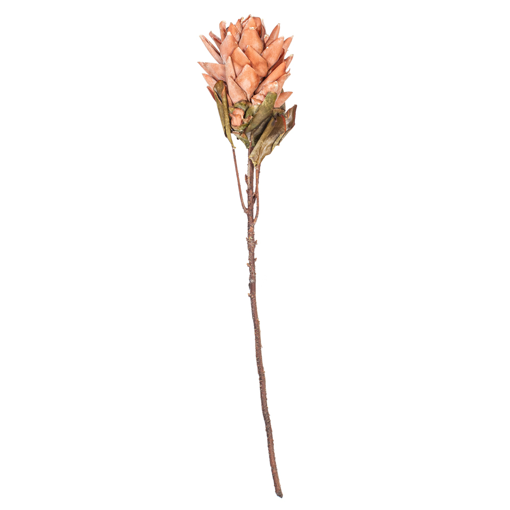 FMA230118 30.5 in. Light Orange Dried Artificial Protea Stem - Bag of 2