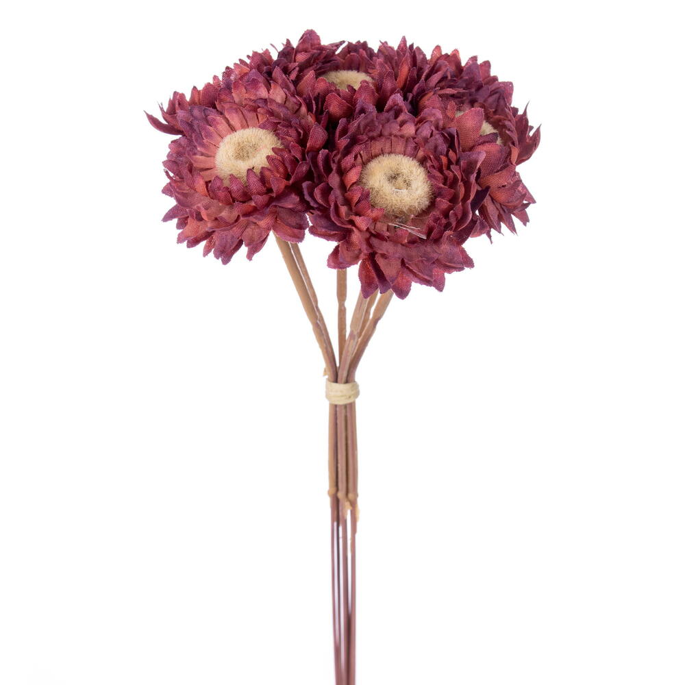 FNT236431 7 in. Raspberry Artificial Daisy Strawflower Stem - Bag of 6