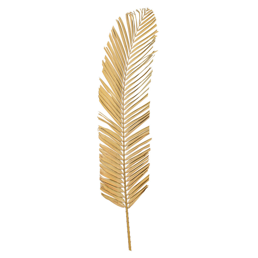 H2OPL000 44 in. Natural Round Tip Palm Leaf, 6 Per Bag
