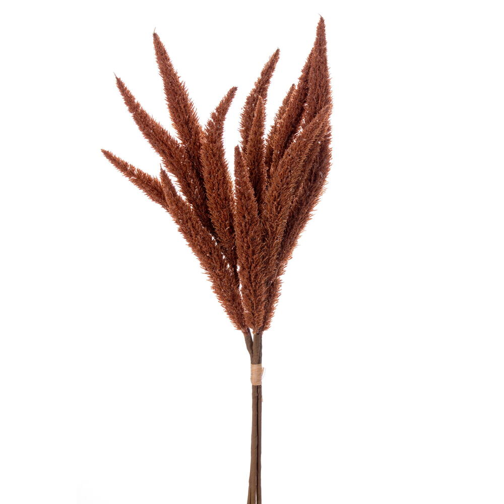 EF231530 24 in. Mocha Foxtail Bundle