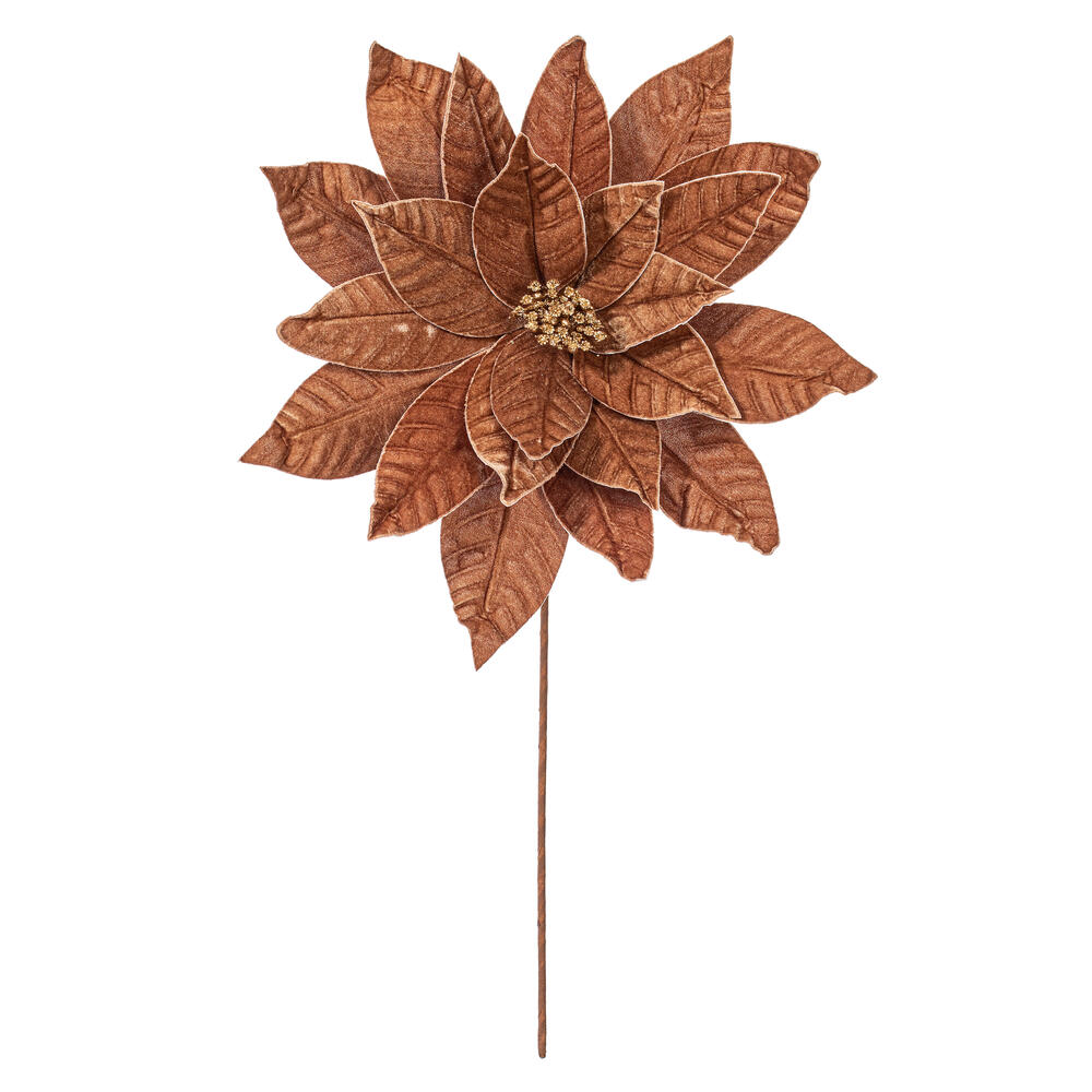 RG233176 21.5 in. Mocha Poinsettia Stem - 2 Piece