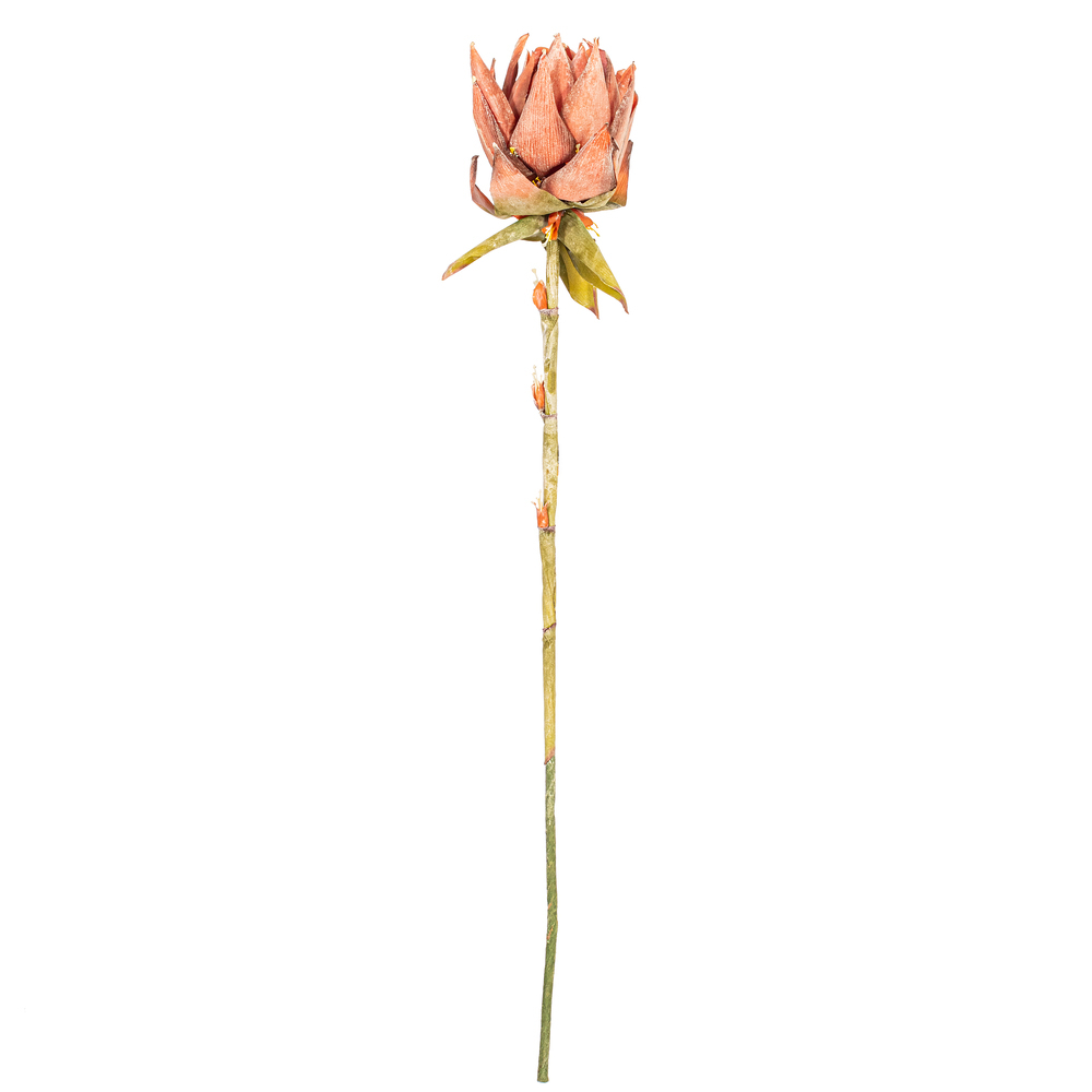 FM239737 37 in. Red Dried Artificial Protea Stem - Bag of 2