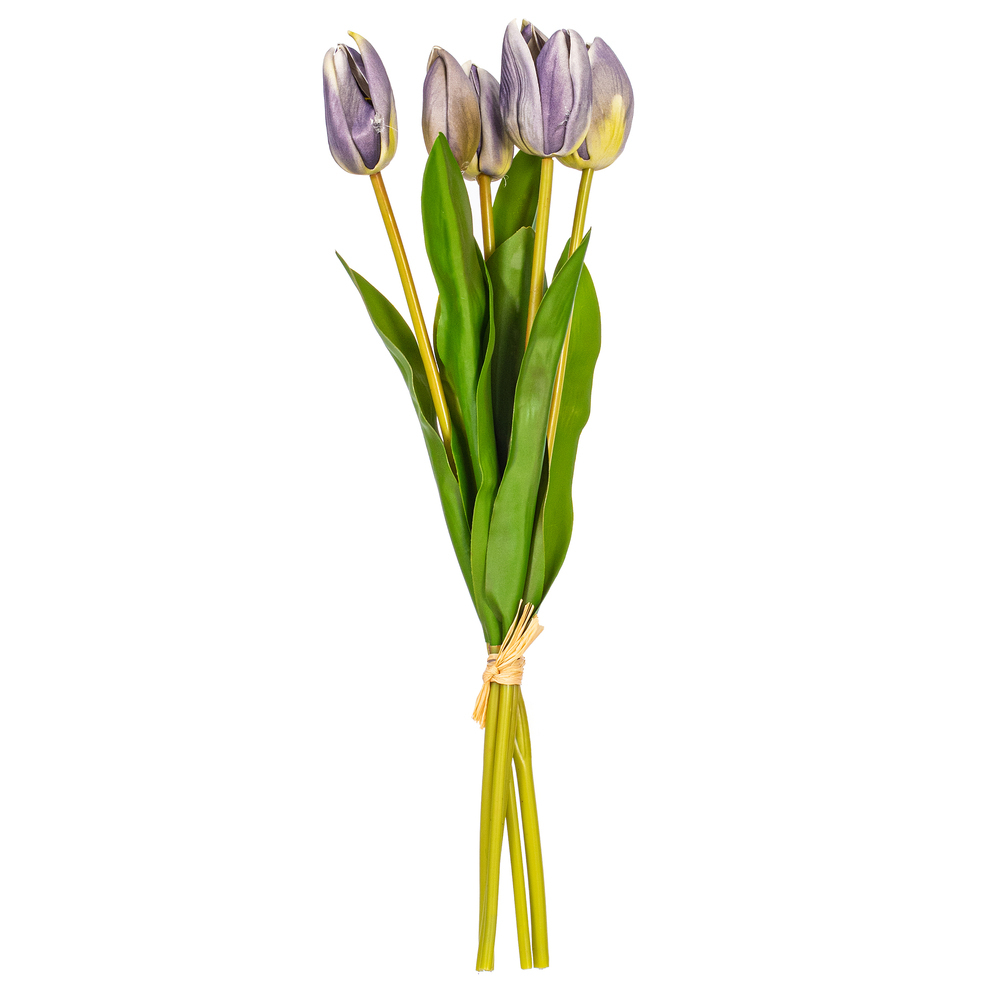 FXT238766 16 in. Blue Violet Tulip Bundle - Bag of 2