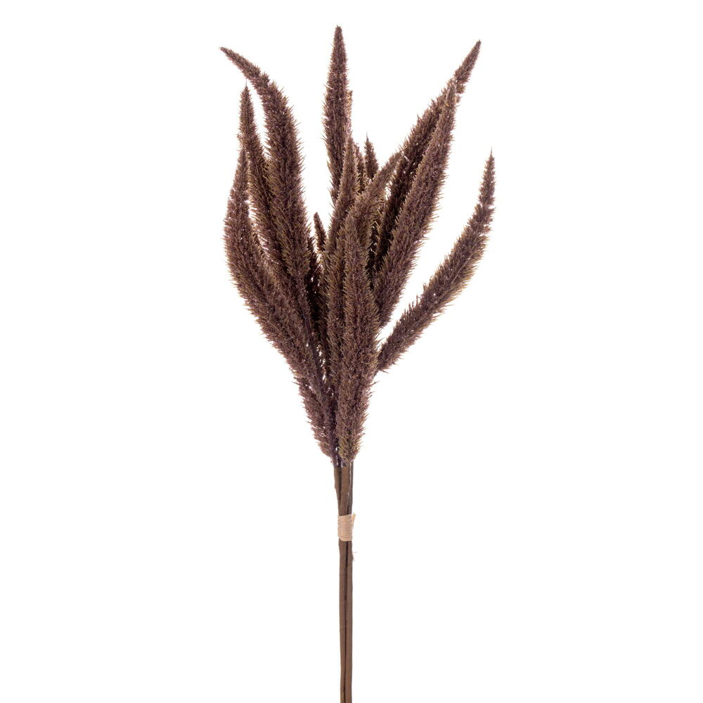 EF231528 24 in. Brown Foxtail Bundle