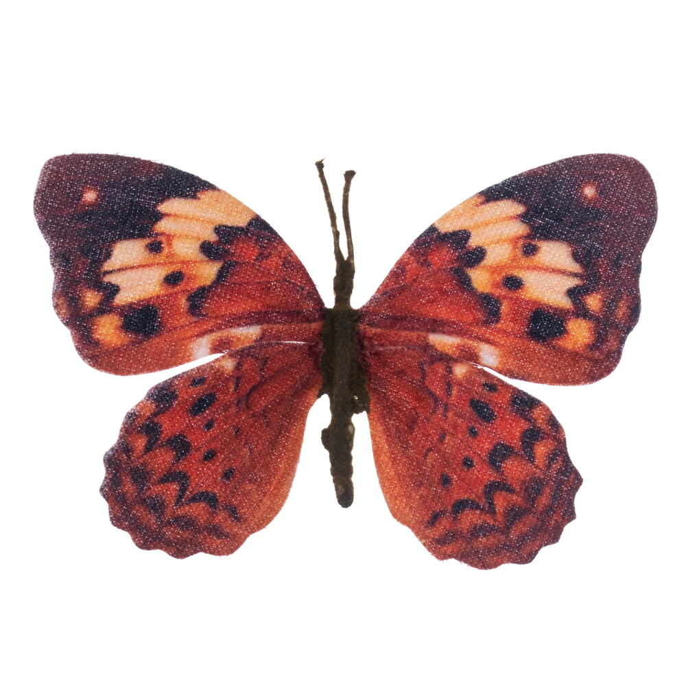 EF232129 4.5 in. Orange & Purple Butterfly Clip, 12 Per Bag