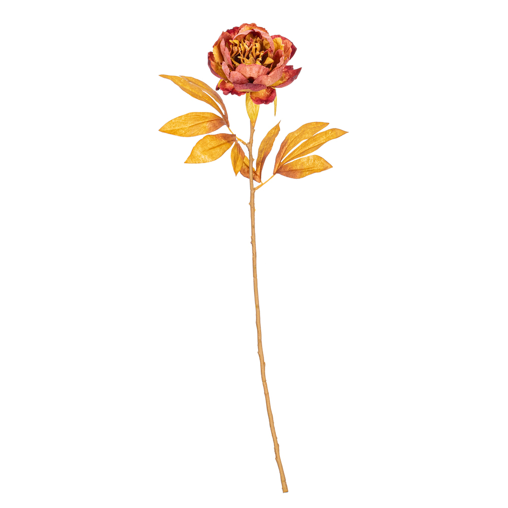 FR235888 21 in. Artificial Red & Brown Peony Stem - Bag of 6