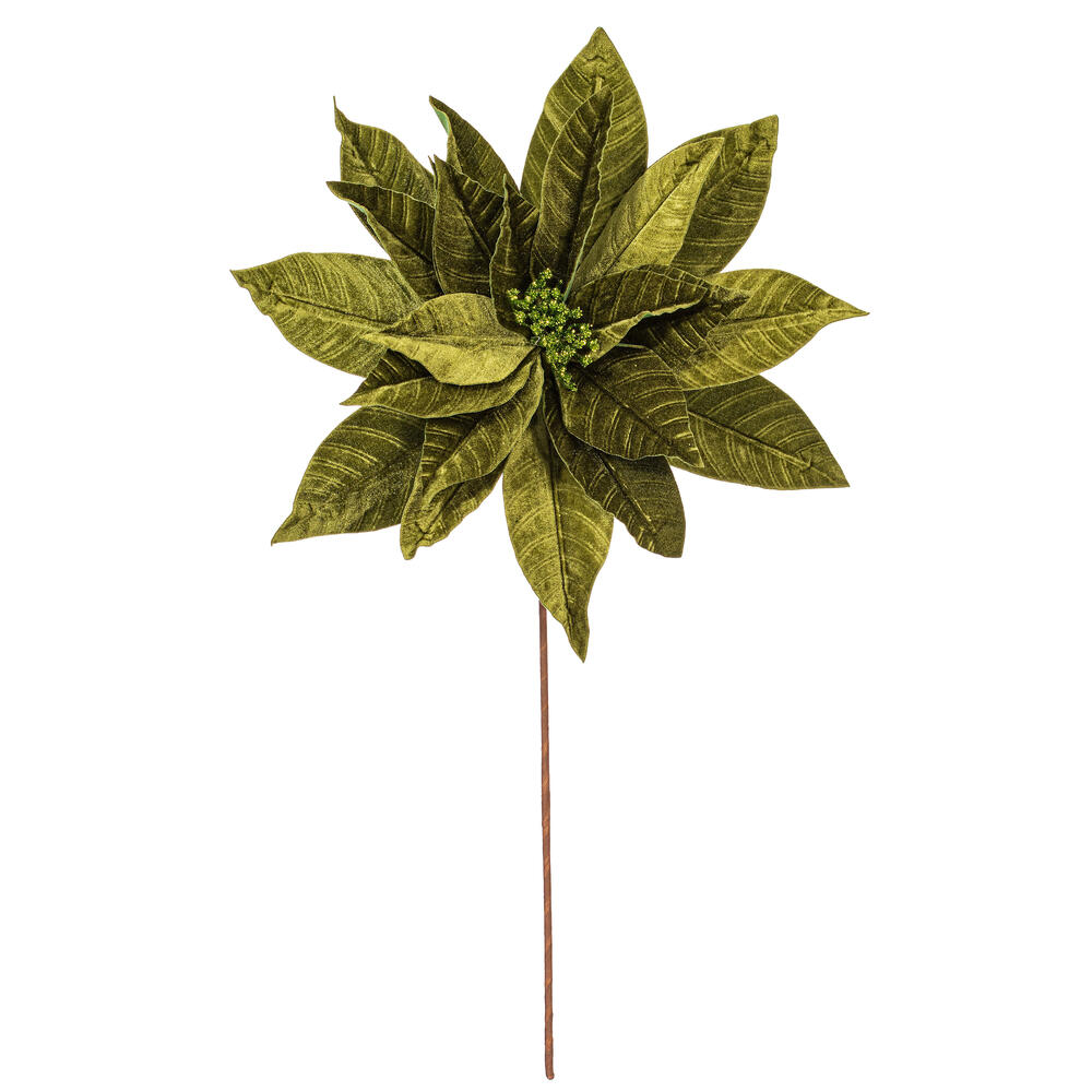 RG233173 21.5 in. Lime Poinsettia Stem - 2 Piece