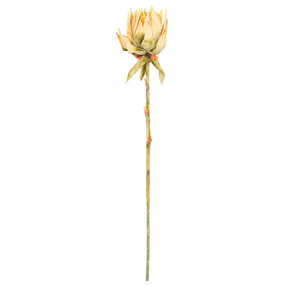 FM239738 37 in. Cream Dried Artificial Protea Stem - Bag of 2