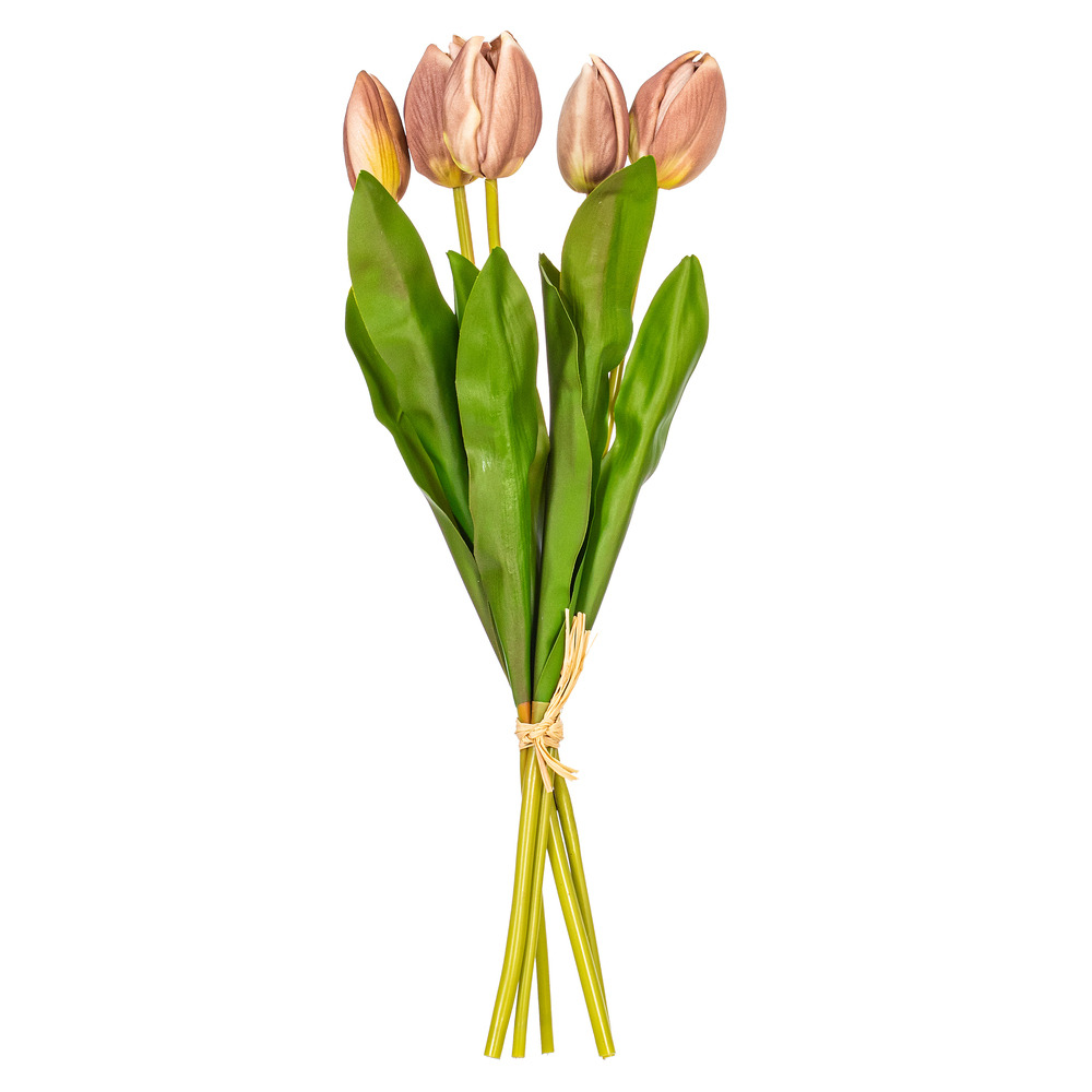 FXT238715 16 in. Purple & Cream Tulip Bundle - Bag of 2