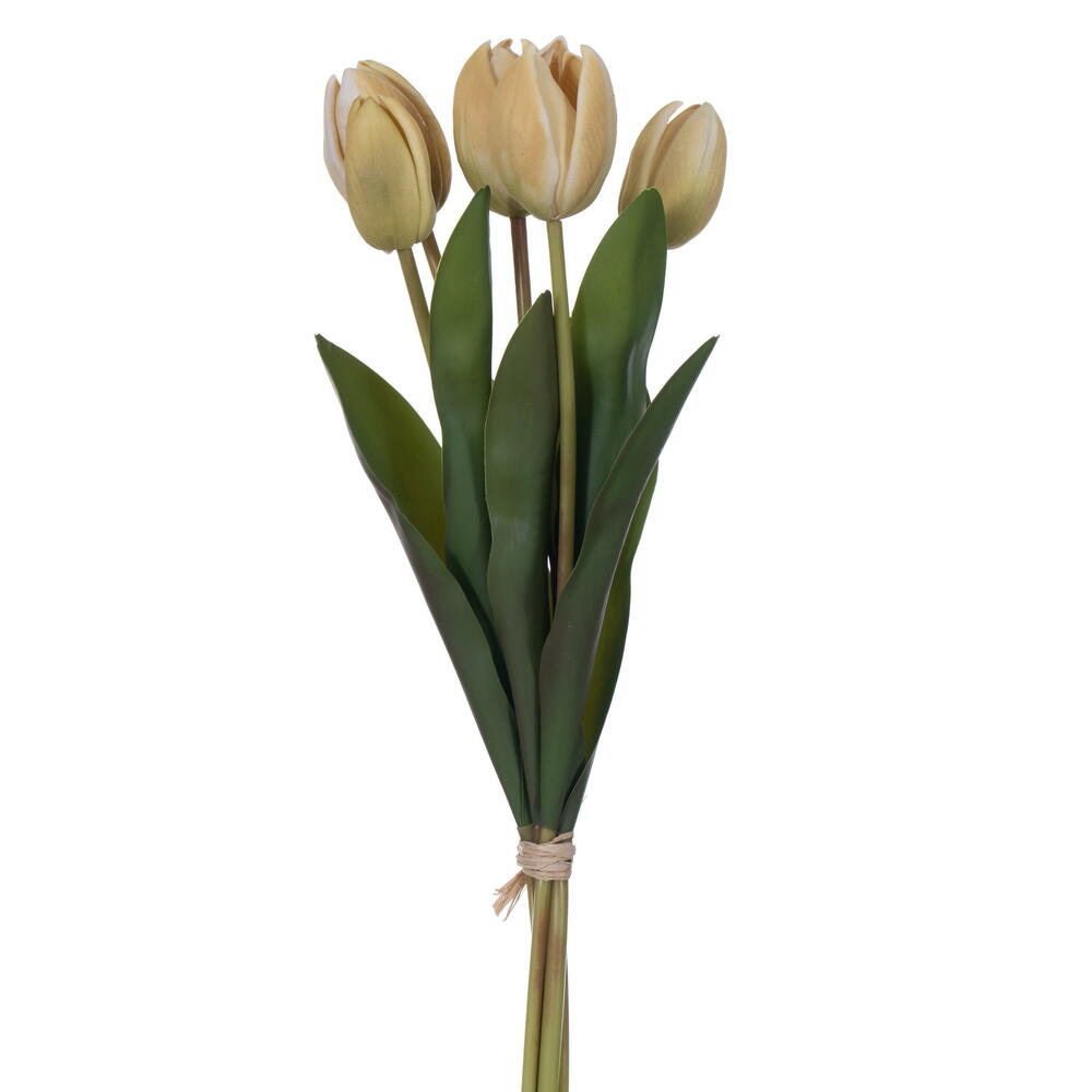 FXT238717 16 in. Yellow & Cream Tulip Bundle - Bag of 2