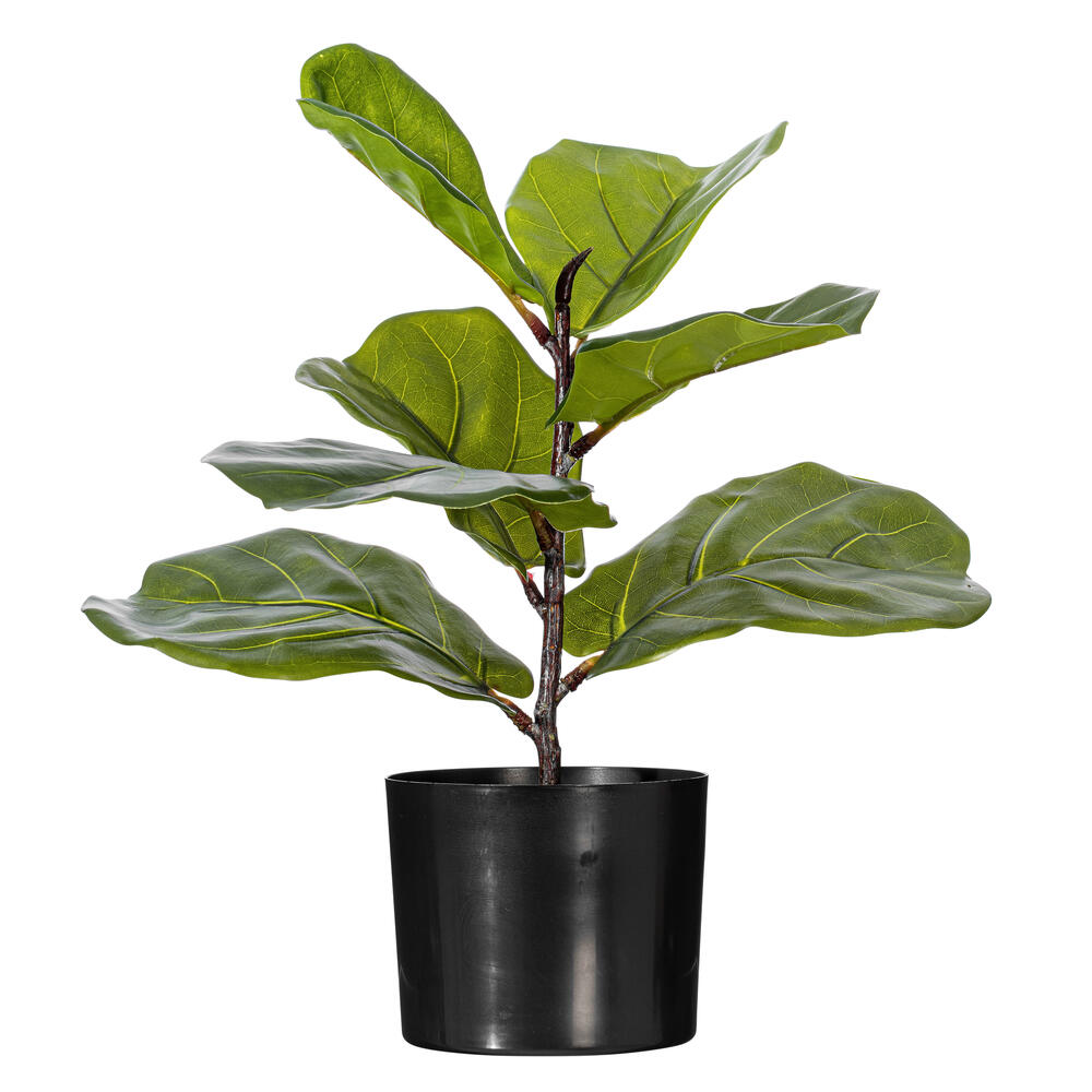 TA220918 18 in. Green Fiddle Leaf Plant in Mini Black Pot