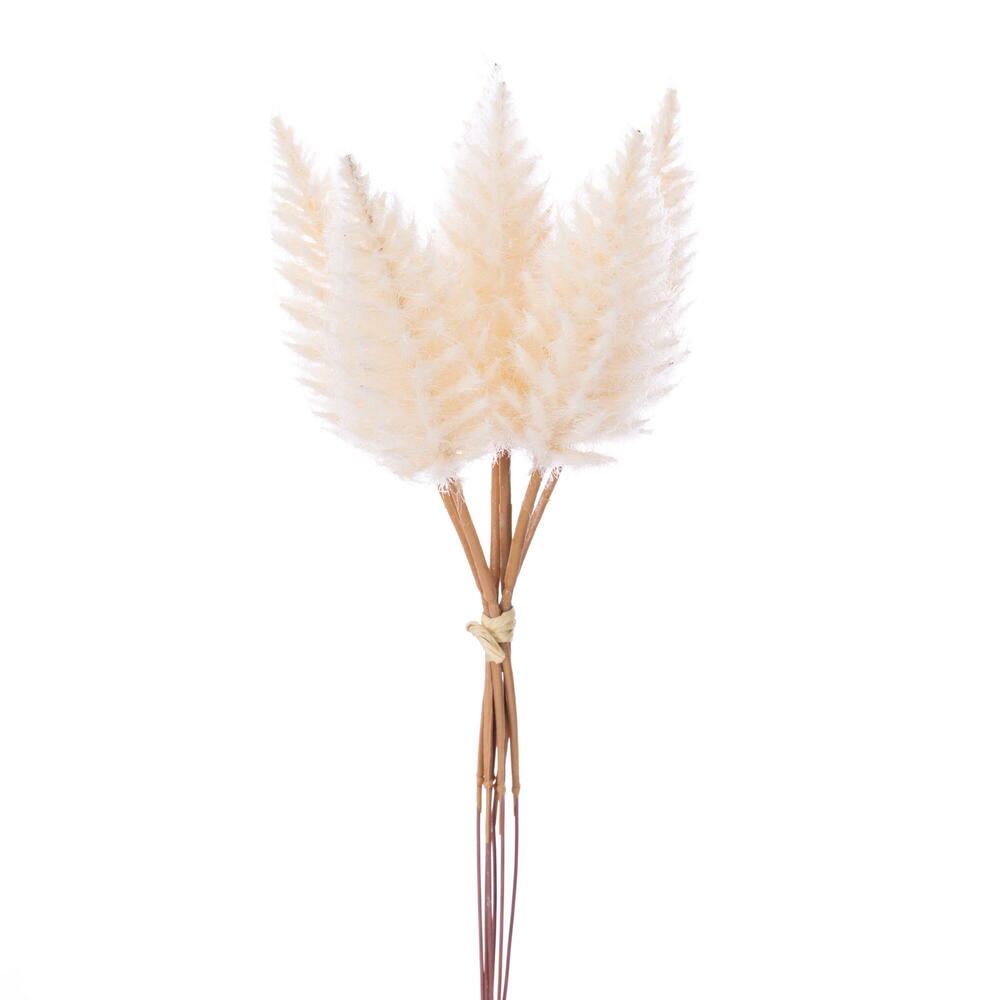 FNT236036 9 in. Light Cream Celosia Stem - Bag of 6