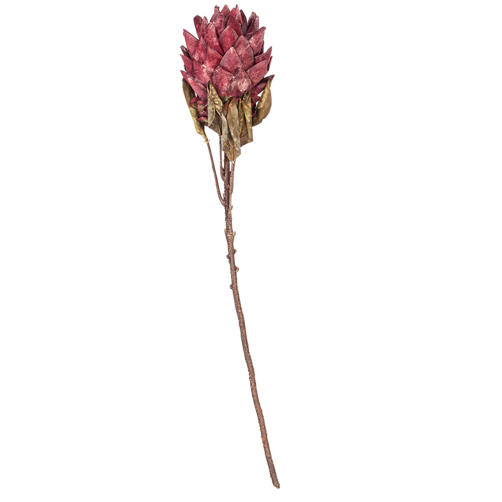 FMA230103 30.5 in. Light Red Dried Artificial Protea Stem - Bag of 2