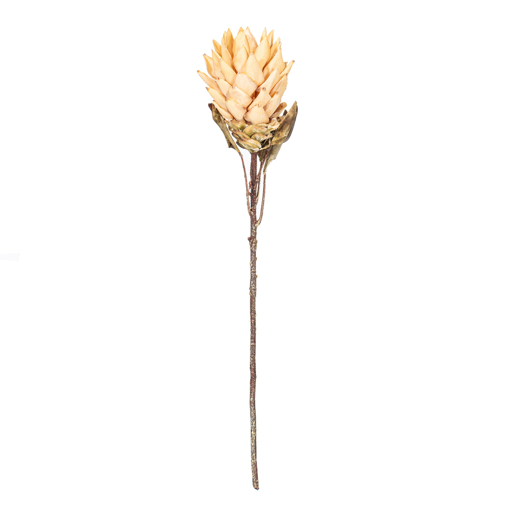 FMA230110 30.5 in. Cream Dried Artificial Protea Stem - Bag of 2