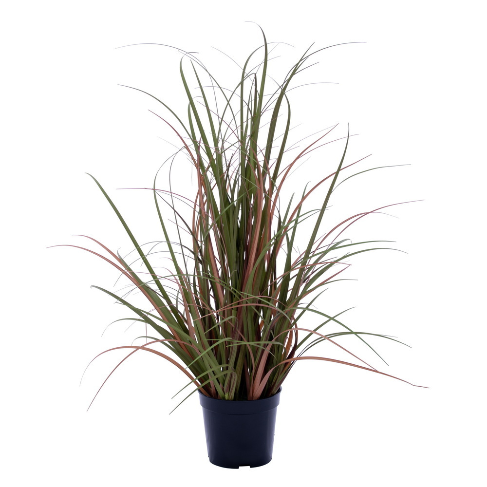TD260324UV 24 in. Variegate Fountain UV Pot Grass - Brown
