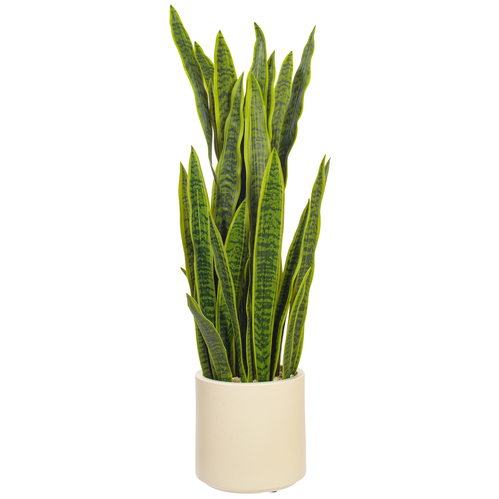 TB261548 48 in. Sansevieria Snake Potted Plant - Green