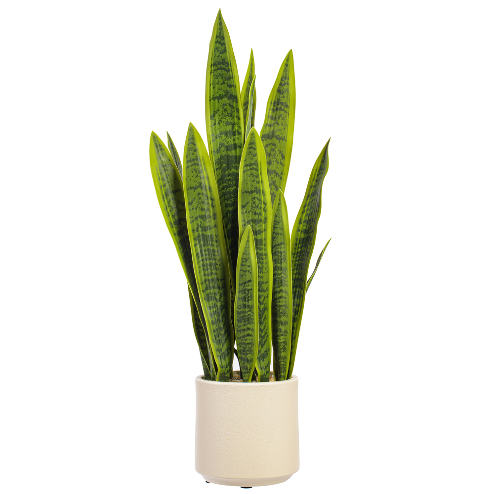 TB261532 32 in. Sansevieria Snake Potted Plant - Green