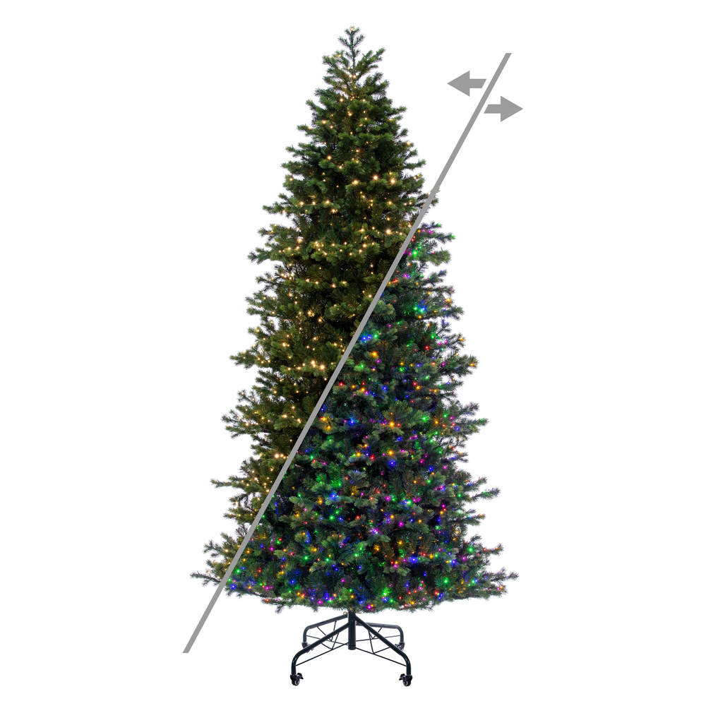 G264393LEDCC 12 ft. x 66 in. Black Hills Spruce Artificial Christmas Tree - 3 mm Tips - 4500 Clear Lights, Green