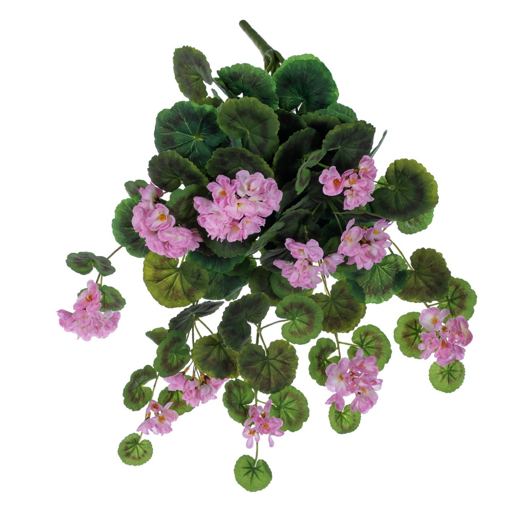 FTL263190UV 19 in. Light Pink Geranium Hanging Bush with UV Resistant