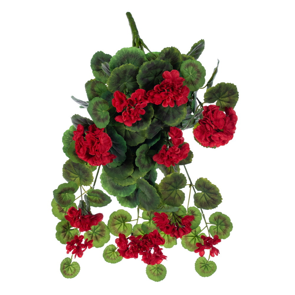FTL263103UV 19 in. Red Geranium Hanging Bush with UV Resistant