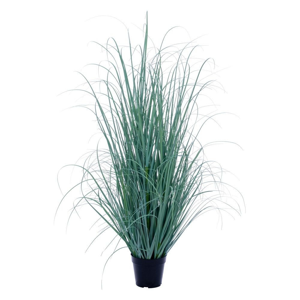 TD260148UV 48 in. Fescue UV Potted Grass, Blue