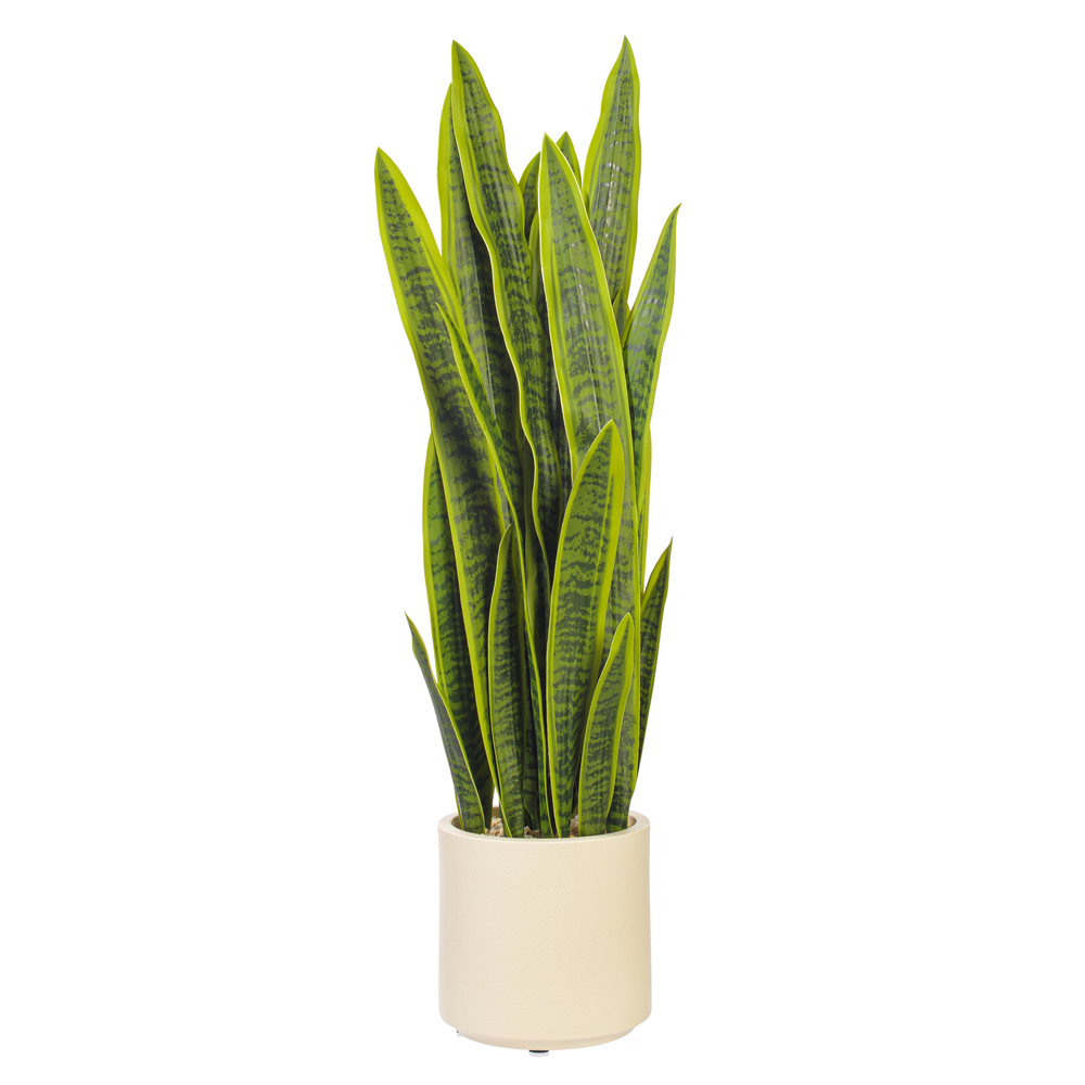 TB261541 41 in. Sansevieria Snake Potted Plant - Green