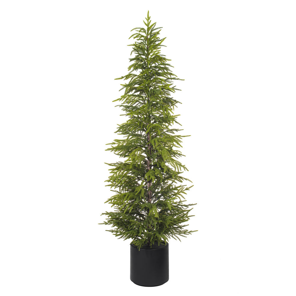 RH260772 Artificial Green Norfolk Pine Potted Tree UV - 6 ft.