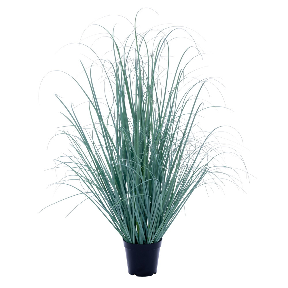 TD260136UV 36 in. Fescue UV Potted Grass, Blue