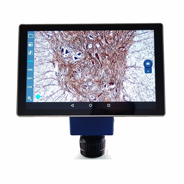 VE-SCOPEPAD 300 10.1 in. Tablet with Integrated 5.0 MP Camera, USB & Mini USB - HDMI Ports for Prime Microscopes