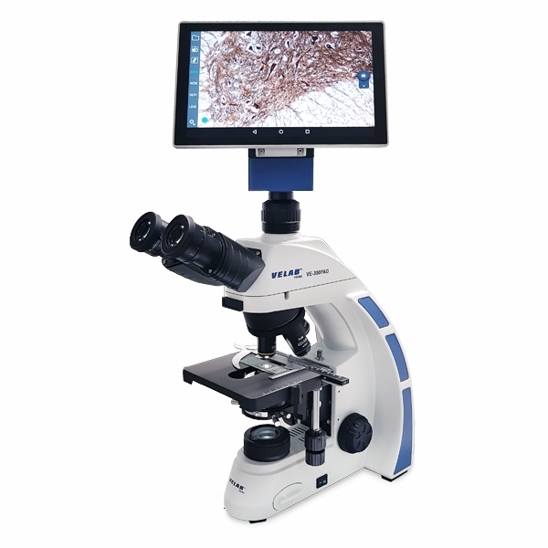 VE-300PAD Biological Binocular Microscope with 10.1 in. Integrated Tablet & 4.0 MP Digital Camera