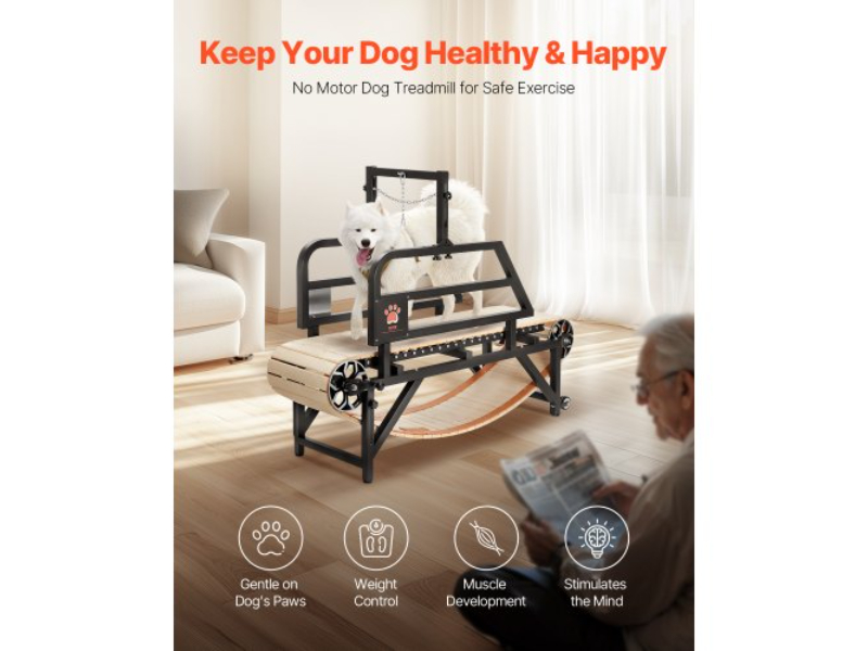 Picture of Vevor FDDGGPBJZXQM3V0VLV0 Dog Treadmill for Dogs Up to 220 lbs Indoor Pet Running Machine&#44; Black - Medium