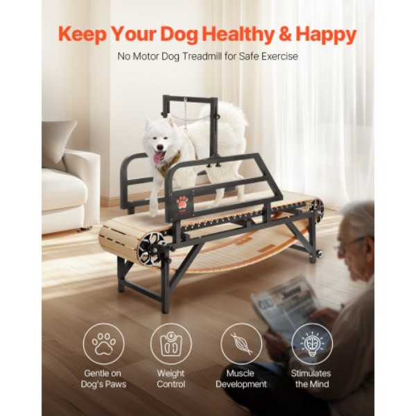 Picture of Vevor FDDGGPBJDXQLRMHH8V0 Dog Treadmill for Medium Dogs - Up To 220 lbs Indoor Pet Running Machine - Black
