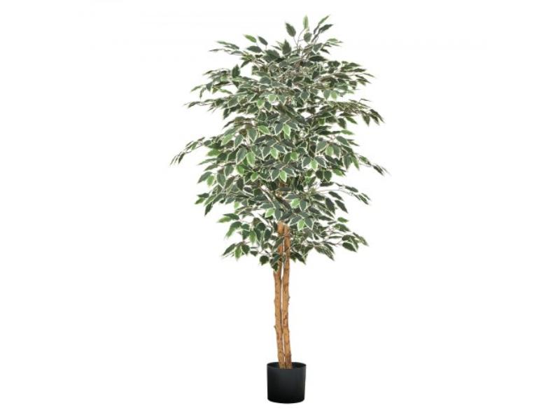 RZS5FTRSSLX05VE6P001V0 5 ft. Artificial Ficus Tree with Black Pot & Green Tall Plant