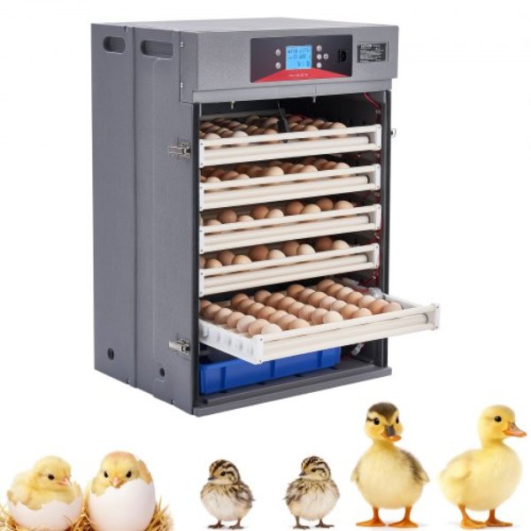 JQFHQEKCDX40NU6PQ001V1 Poultry 400 Egg Incubator Cabinet with Automatic Eggs Turning