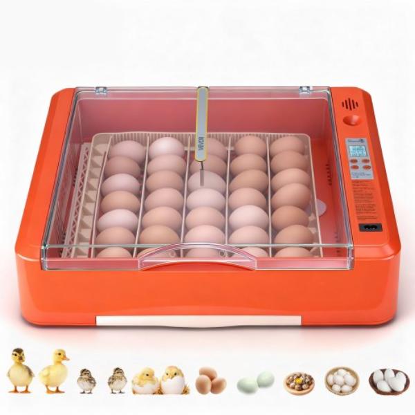 Picture of Vevor JQFHQEKZX36D3B00W001V1 36 Egg Incubator - Automatic Egg Turner - LED Candler - Water Tray - Temperature & Humidity Control - 360 deg View Clear Window - Poultry Eggs Incubators