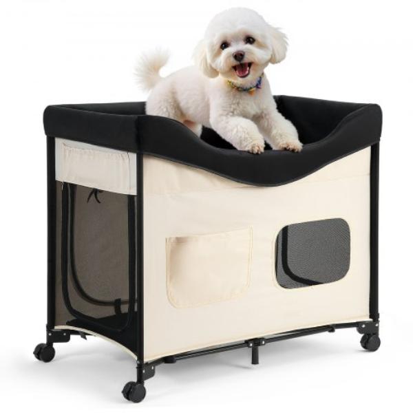 GJGCSCGJXLWTVNK1M001V0 Elevated Lounge Pet Bed - Foldable Bunk Dog Bed - Portable Raised Cot - Extra Large - Beige
