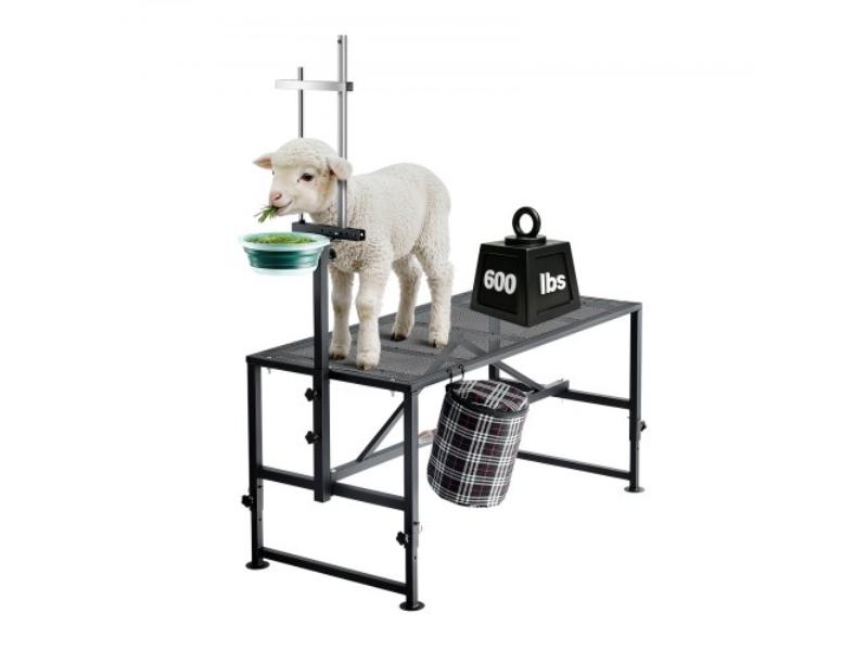 51 x 23 in. Goat Milking Stand - 600 lbs Heavy Duty with Feed Bin - Adjustable Headpiece & Tool Basket - Metal Platform for Sheep - Black