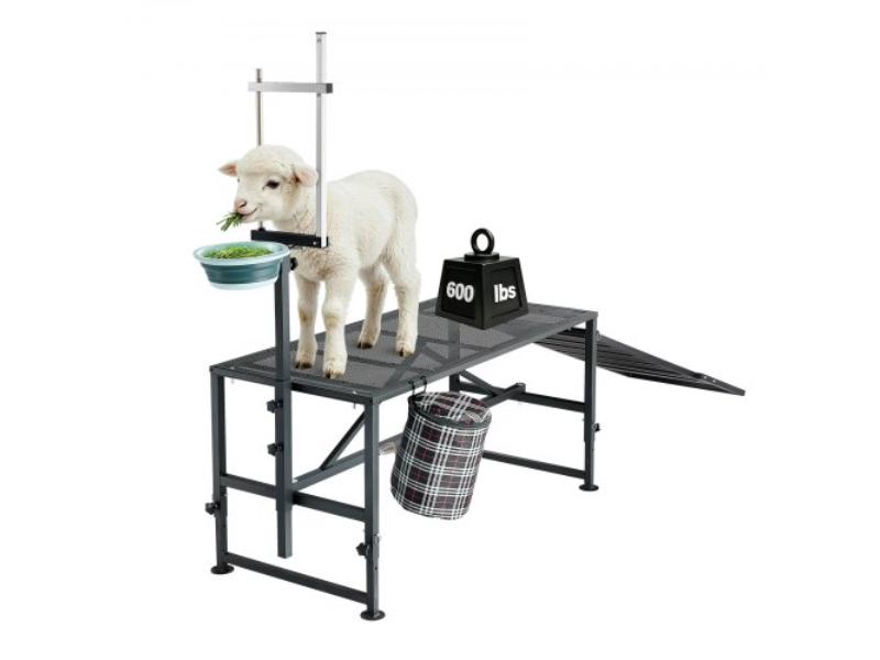 Goat Milking Stand - 600 lbs Heavy Duty with Ramp & Feed Bin - Adjustable Headpiece & Tool Basket - Metal Platform for Sheep Lamb - Black